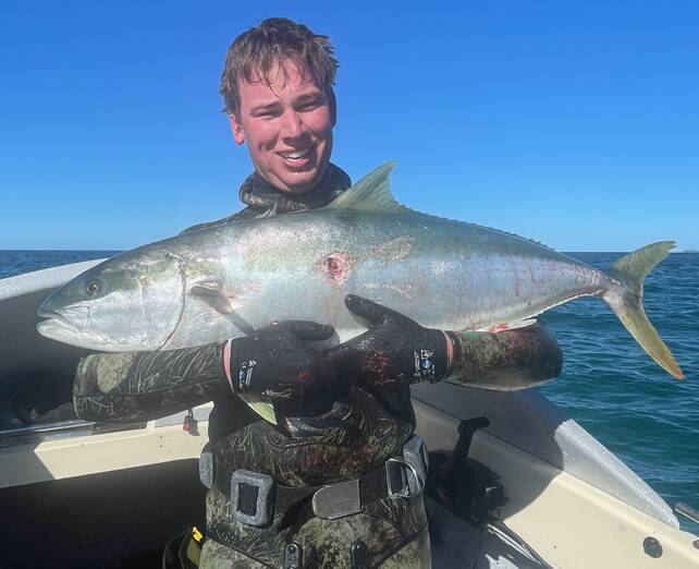 Local angler Isaac Heagney with an 18kg kingfish he speared. Picture supplied