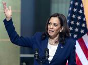 Kamala Harris will need nerves of steel to win this election. Picture Shutterstock